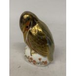 A ROYAL CROWN DERBY KINGFISHER WITH SILVER COLOURED STOPPER