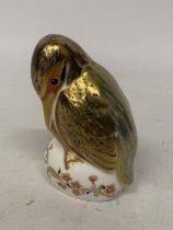 A ROYAL CROWN DERBY KINGFISHER WITH SILVER COLOURED STOPPER