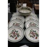 A QUANTITY OF PORTMEIRION TO INCLUDE EIGHT LARGE PLATES AND A LARGE 'BIRDS OF BRITAIN' BOWL,