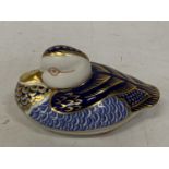 A ROYAL CROWN DERBY DUCK WITH SILVER STOPPER