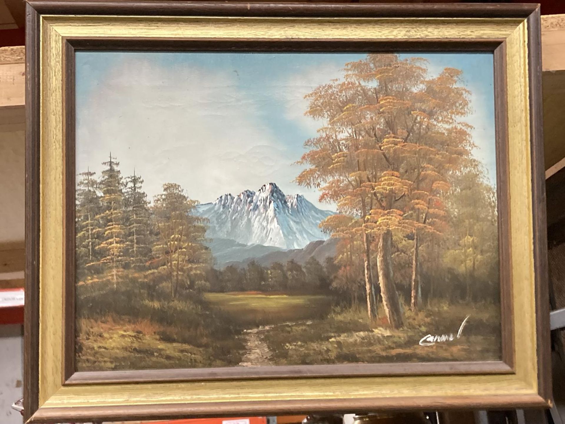 A FRAMED OIL ON CANVAS OF A MOUNTAIN SCENE SIGNED