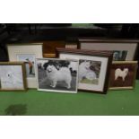 A QUANTITY OF PRINTS AND PHOTOGRAPHS FEATURING WHITE HUSKY DOGS - 6 IN TOTAL