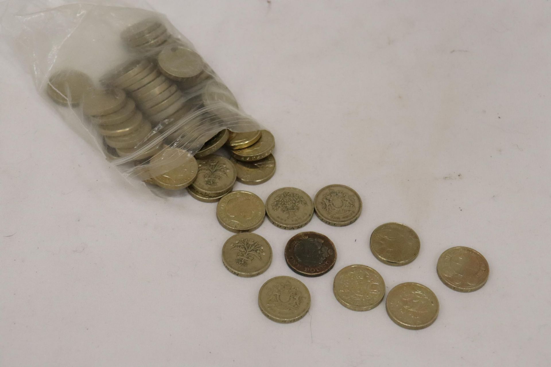 A COLLECTION OF 55 ONE POUND COINS - Image 2 of 5