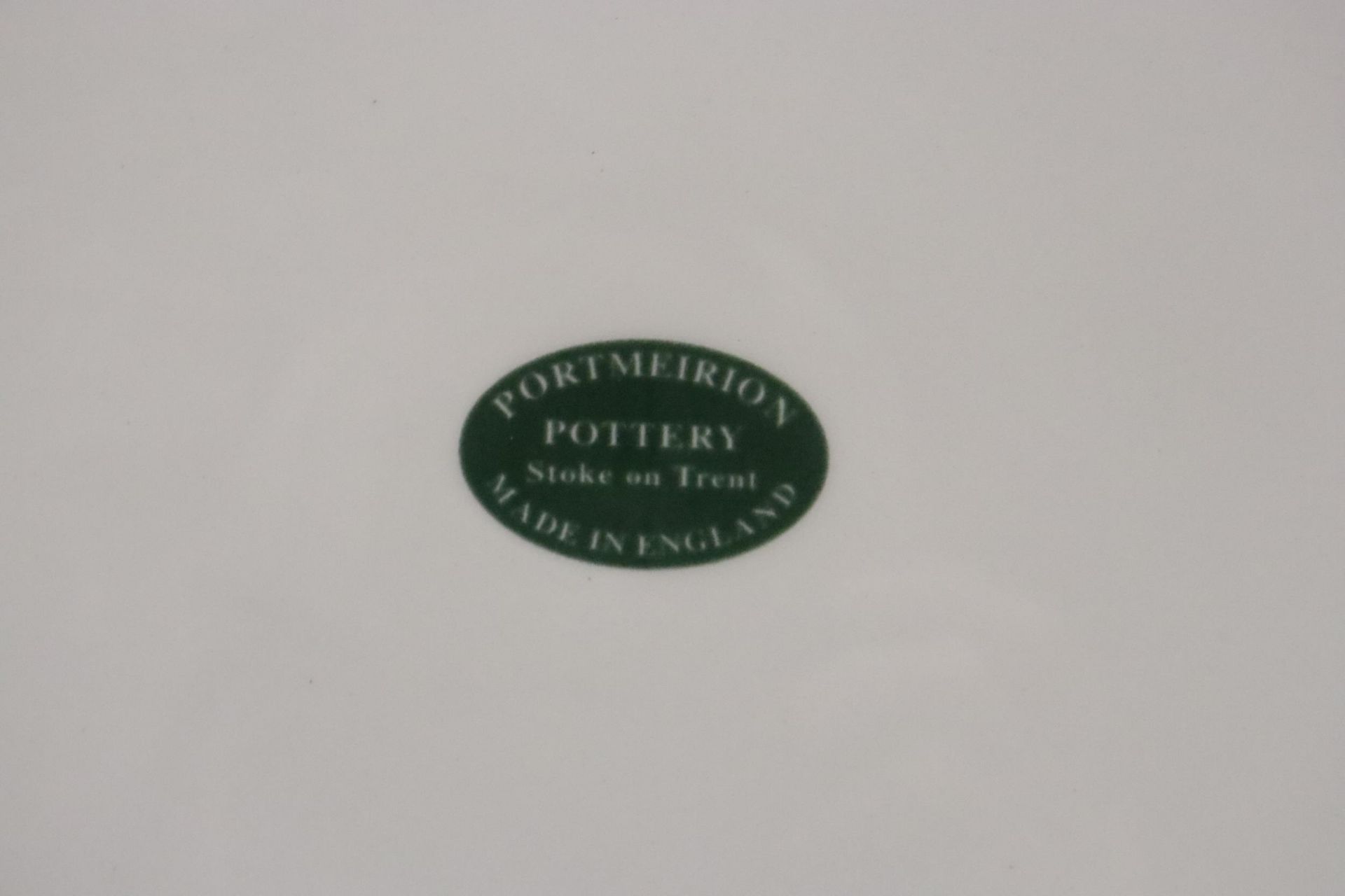 A QUANTITY OF PORTMEIRION TO INCLUDE EIGHT LARGE PLATES AND A LARGE 'BIRDS OF BRITAIN' BOWL, - Image 6 of 6