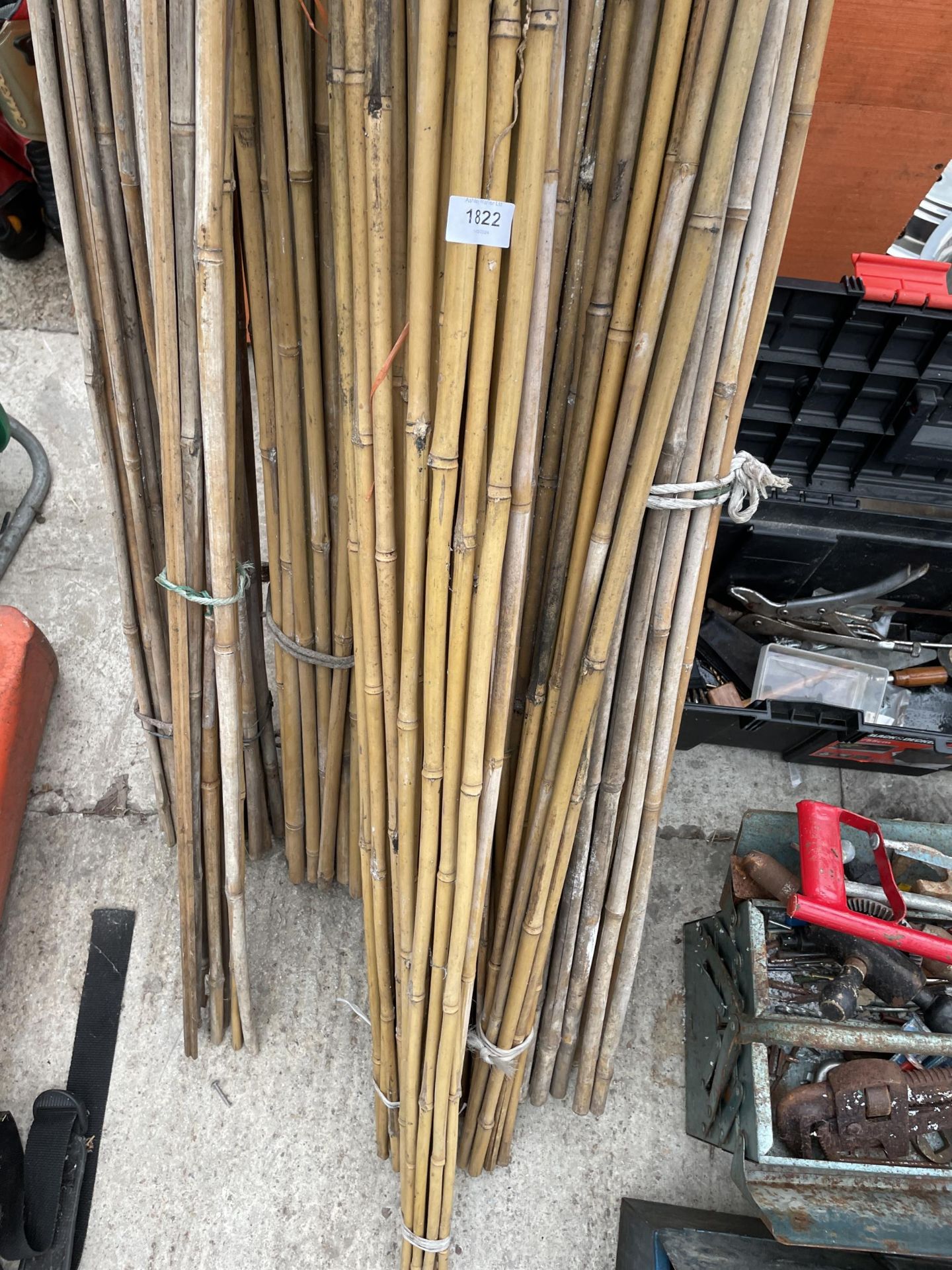 A LARGE QUANTITY OF BAMBOO GARDEN CANES - Image 3 of 3