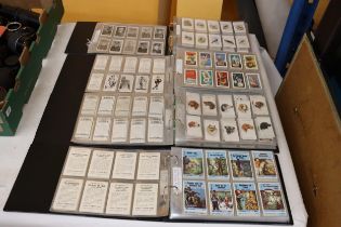 FOUR ALBUMS OF CIGARETTE CARDS TO INCLUDE DOGS, GLAMOUR GIRLS, NAVAL PORTRAITS ETC.,