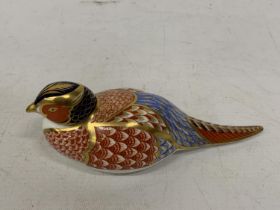 A ROYAL CROWN DERBY PHEASANT WITH SILVER COLOURED STOPPER