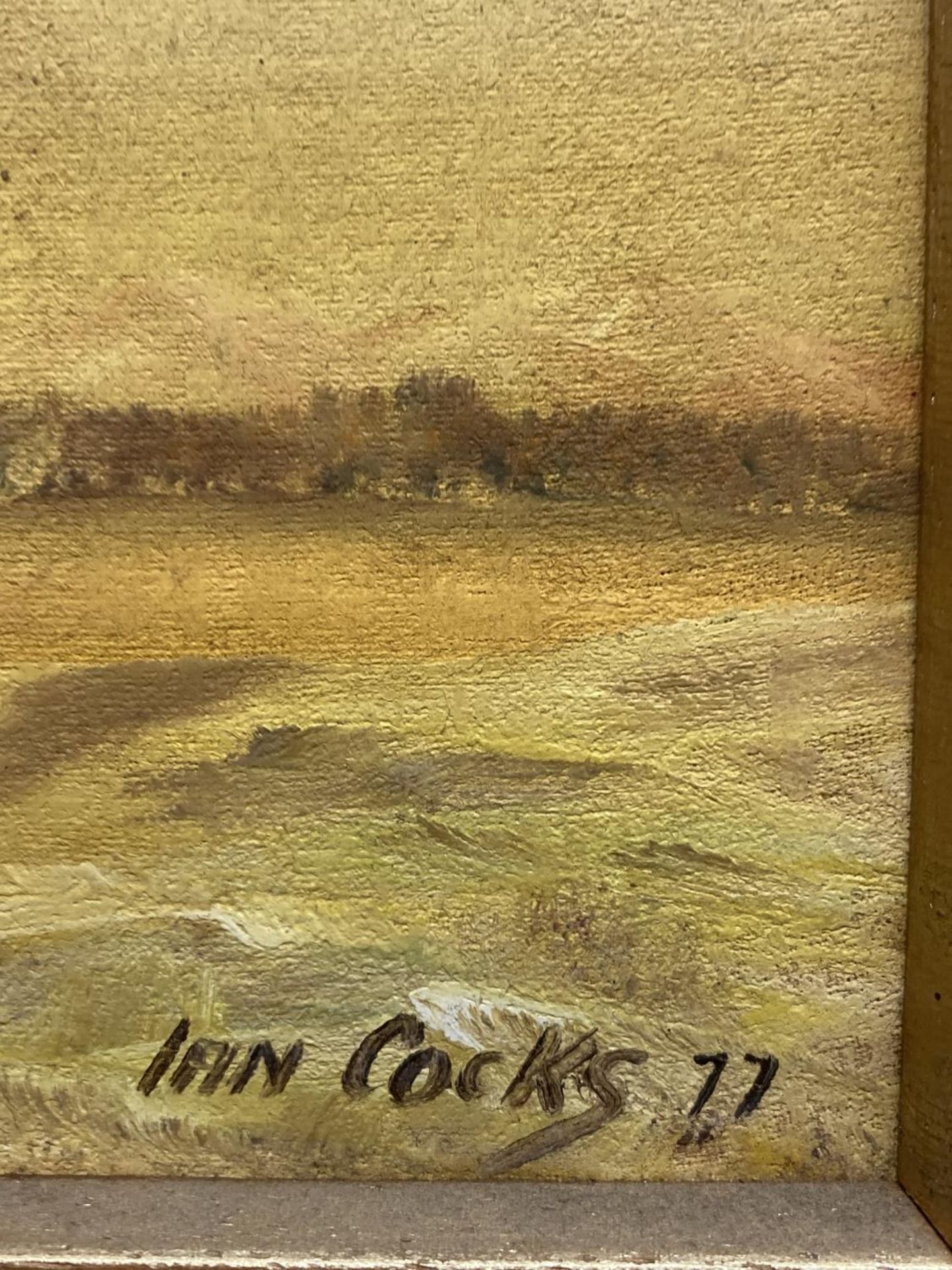 A FRAMED OIL ON BOARD OF A HOMESTEAD SIGNED IAN COCKS 77 (AUSTRALIAN ARTIST) - Image 2 of 2