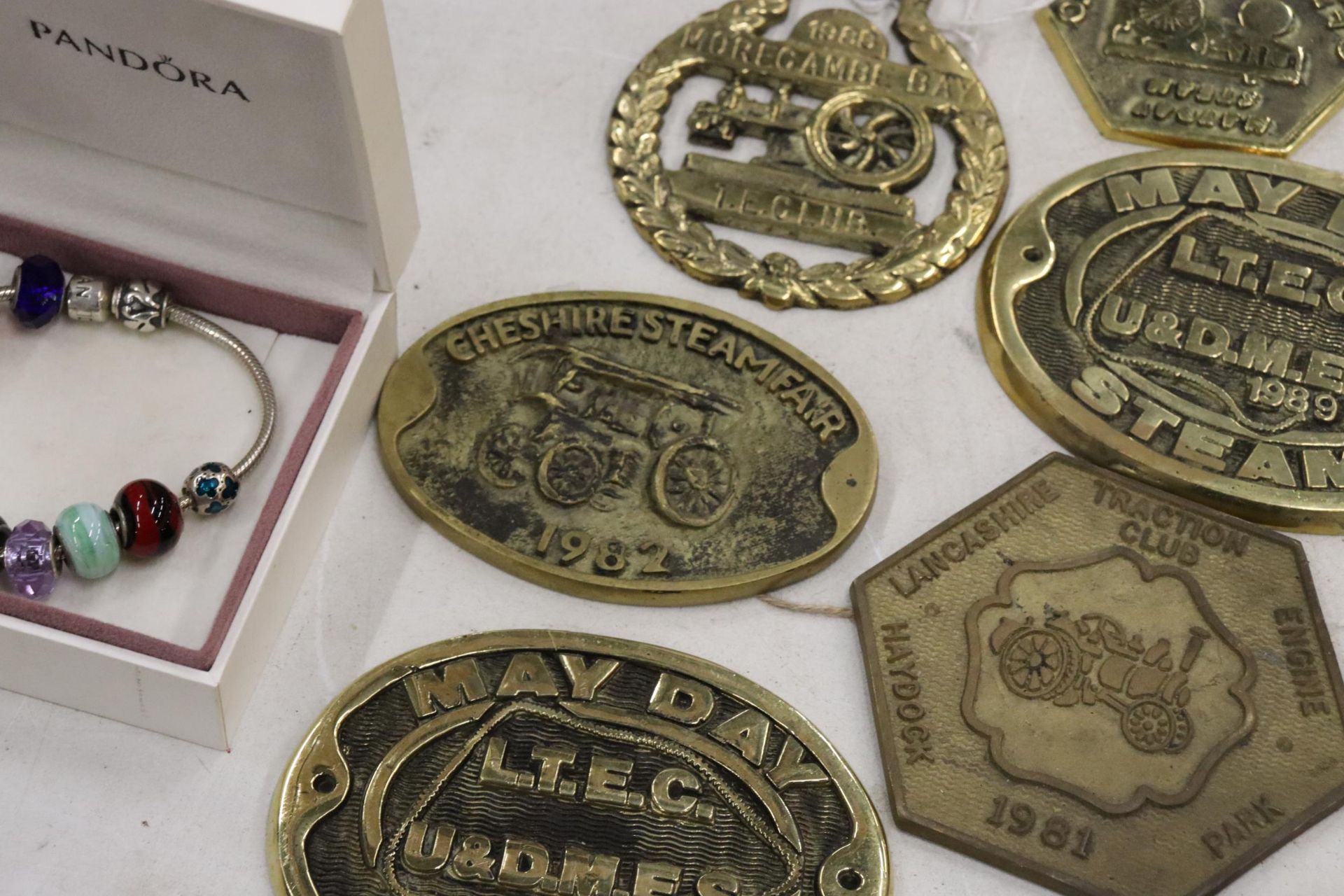 A LARGE COLLECTION OF BRASS STEAM RALLY PLAQUES - 20 IN TOTAL - Image 5 of 10