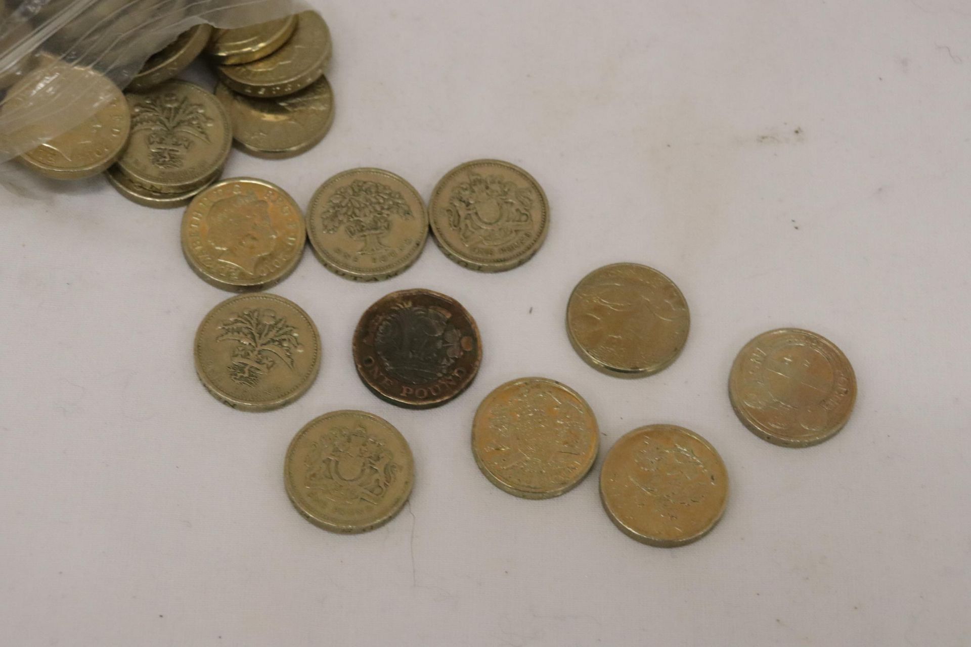 A COLLECTION OF 55 ONE POUND COINS - Bild 3 aus 5