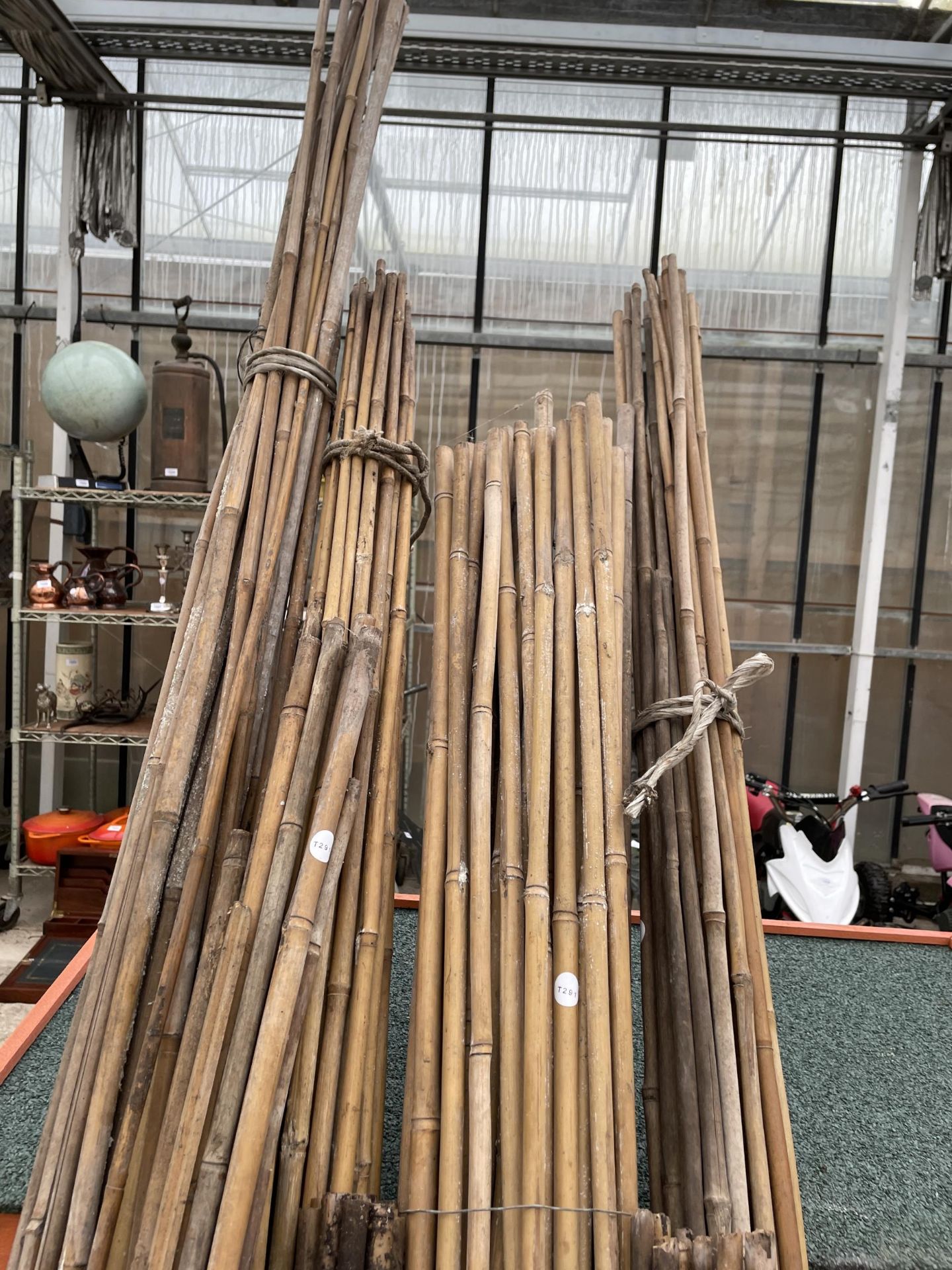 A LARGE QUANTITY OF BAMBOO GARDEN CANES - Image 2 of 3
