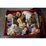 A LARGE COLLECTION OF TY BEANIE BABIES, MOST WITH ORIGINAL TAGS ATTACHED - ALL PROCEEDS OF THIS