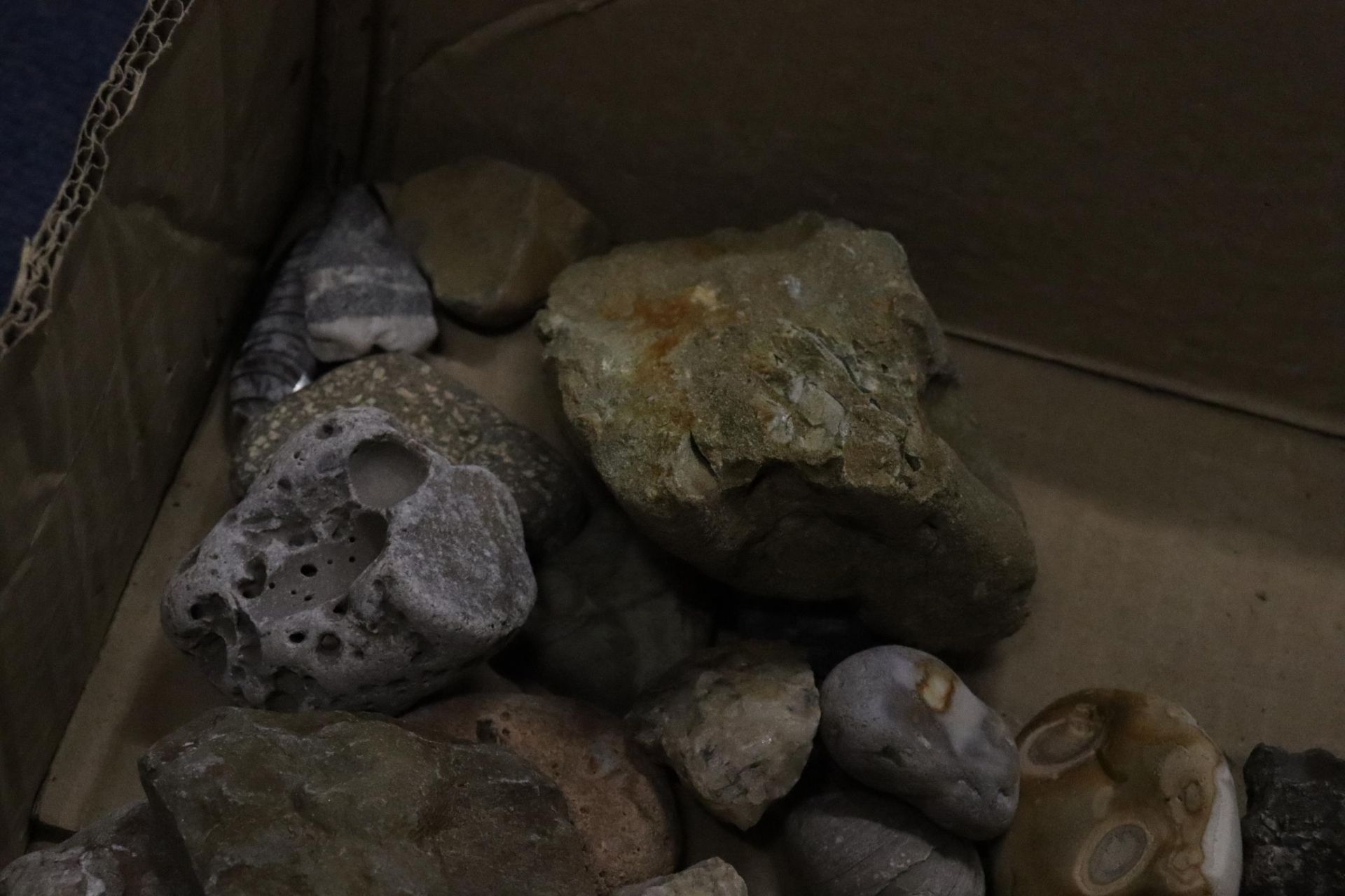 A BOX OF ASSORTED GEOLOGICAL STONES, FOSSILS, ETC - Image 2 of 8