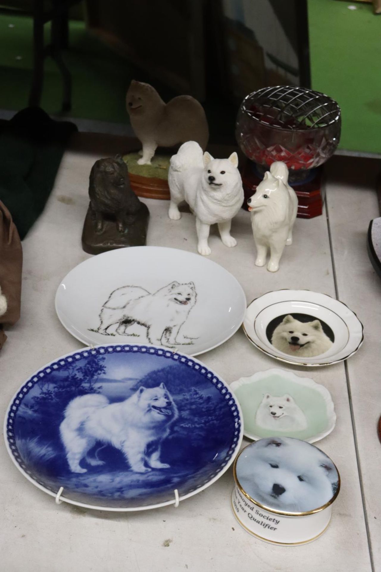 A COLLECTION OF HUSKY DOG RELATED ITEMS TO INCLUDE PLATES, FIGURES, A ROSE BOWL AND TRINKET BOX