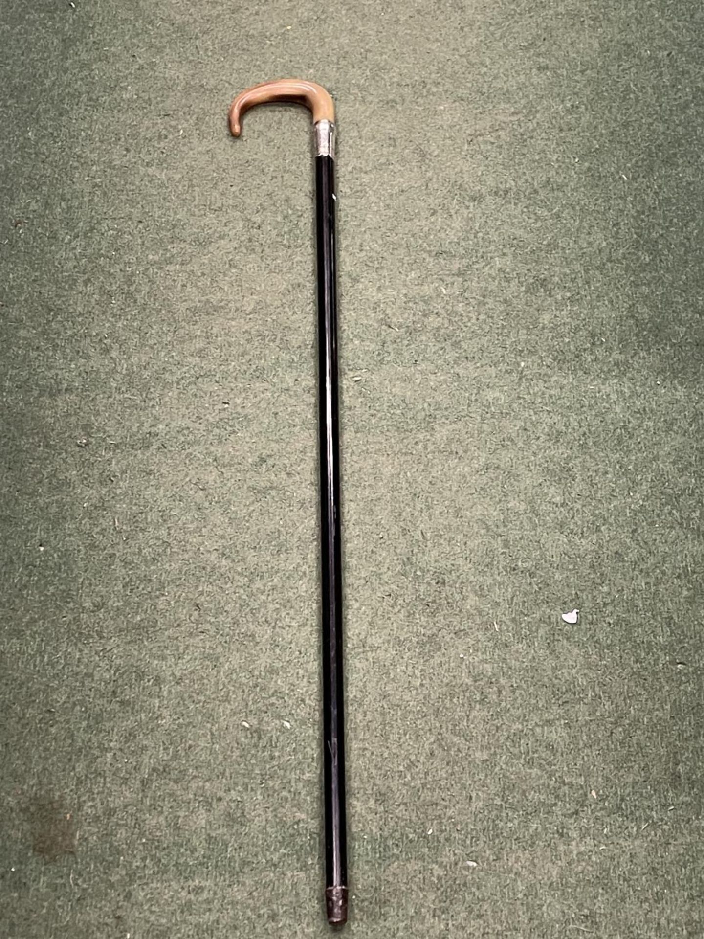 A BONE HANDLED WALKING STICK WITH A CHESTER HALLMARKED SILVER COLLAR