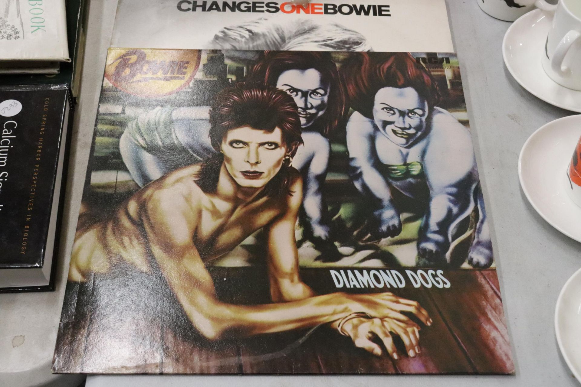 THREE DAVID BOWIE VINYL LP RECORDS TO INCLUDE DIAMOND DOGS, CHANGES ONE BOWIE AND ALADDIN SANE - Image 3 of 5