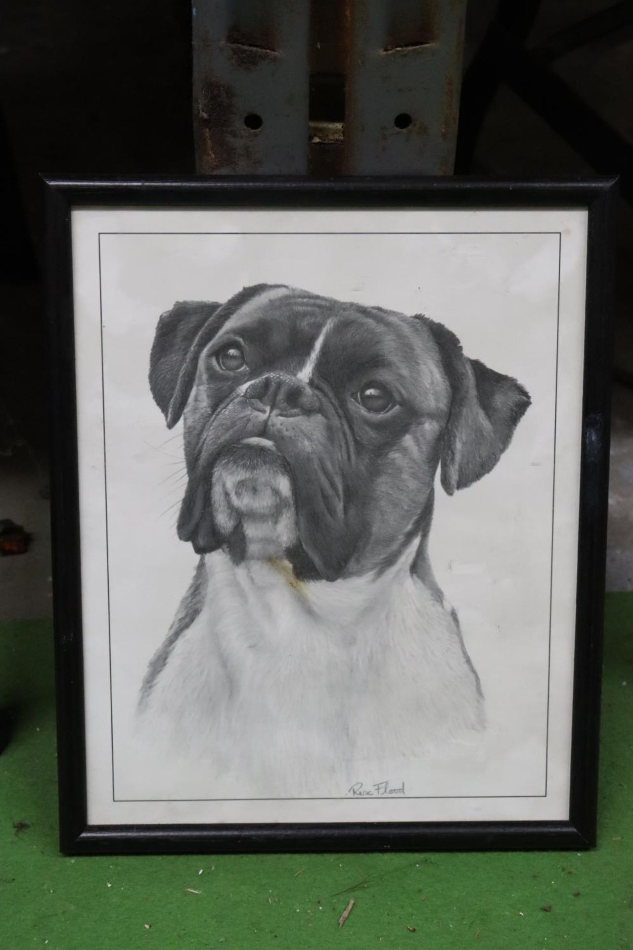 THREE 3D PICTURES PLUS 3 PRINTS TO INCLUDE A BOXER DOG - 6 IN TOTAL - Image 7 of 7