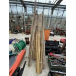A LARGE QUANTITY OF BAMBOO GARDEN CANES