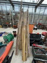 A LARGE QUANTITY OF BAMBOO GARDEN CANES