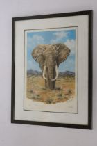 A LIMITED EDITION 48/250 FRAMED PRINT "SOLO" BY ALLAN WYATT