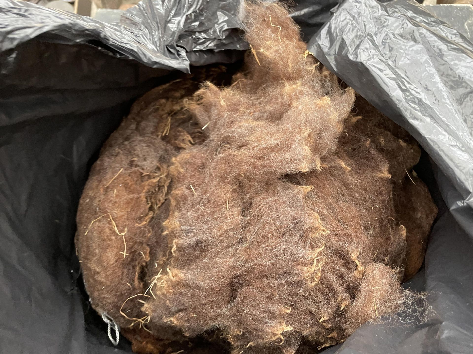 FOUR LARGE BAGS OF SHEEPS WOOL FOR SPINNING - Image 3 of 3