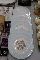 SIX SHELLEY FLORAL PLATES 27.5 CM