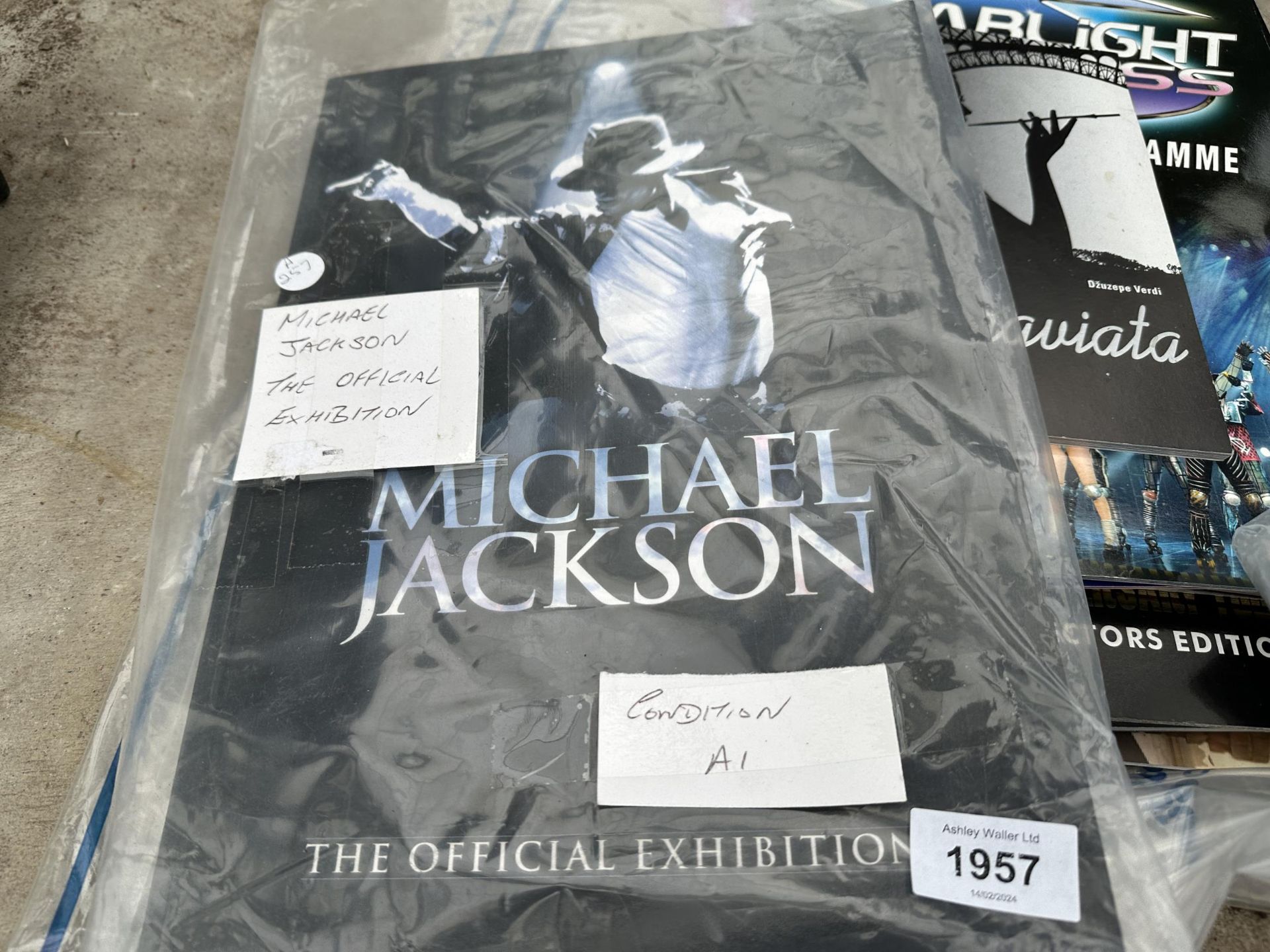 AN ASSORTMENT OF PROGRAMMES AND BROCHURES TO INCLUDE MICHAEL JACKSON AND LADY GAGA ETC - Image 2 of 3