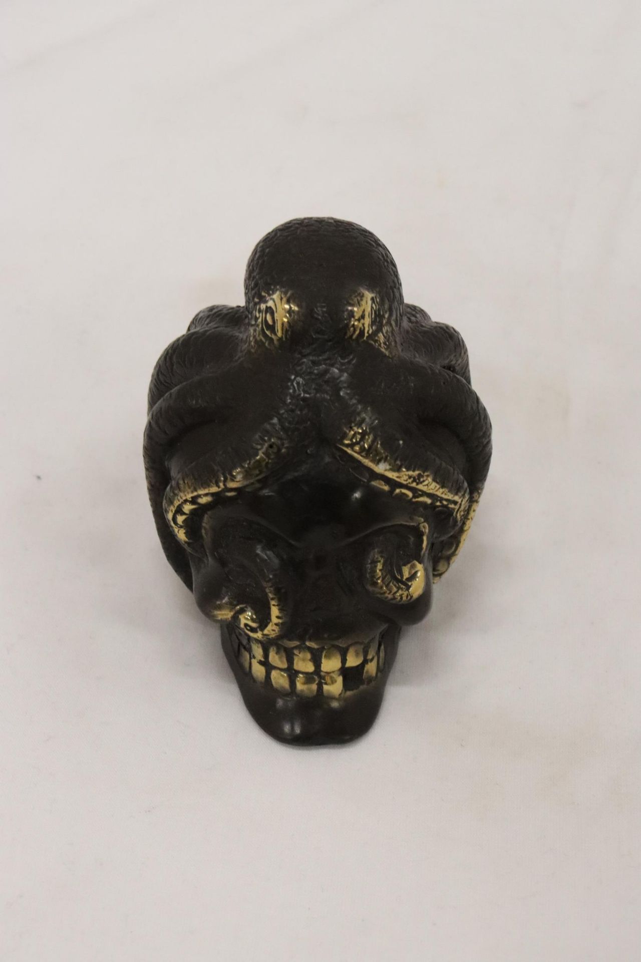 A BRONZE OCTUPUS AND SKULL - Image 5 of 5