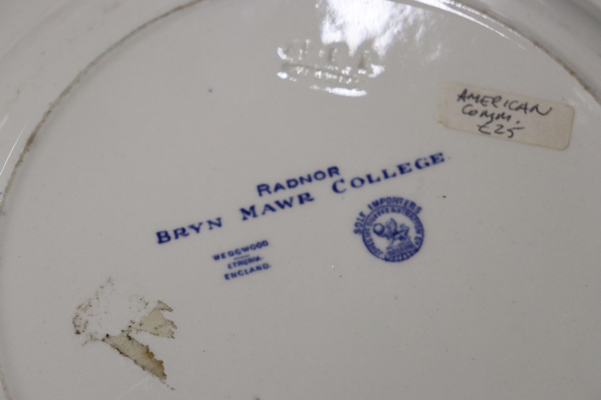 A QUANTITY OF VINTAGE BLUE AND WHITE PLATES TO INCLUDE A LARGE WEDGWOOD PLATTER 'YALE COLLEGE AND - Image 6 of 7