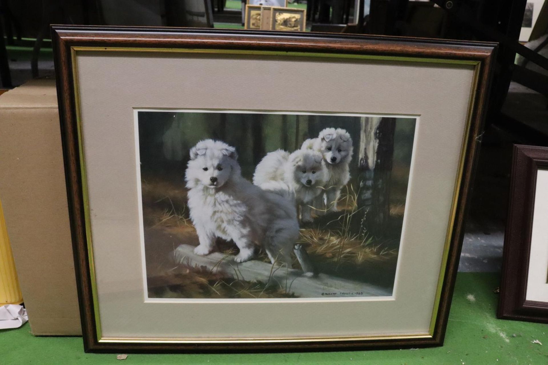 A QUANTITY OF PRINTS AND PHOTOGRAPHS FEATURING WHITE HUSKY DOGS - 6 IN TOTAL - Image 7 of 7