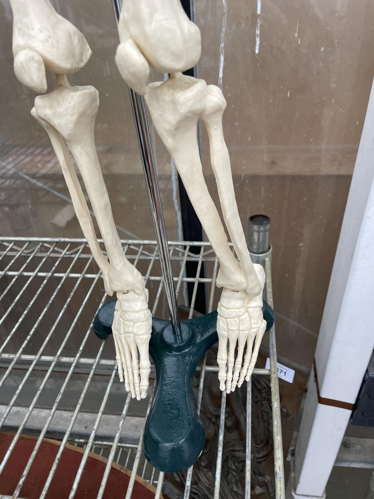 A MODEL SKELETON TEACHING AID WITH STAND - Image 6 of 6