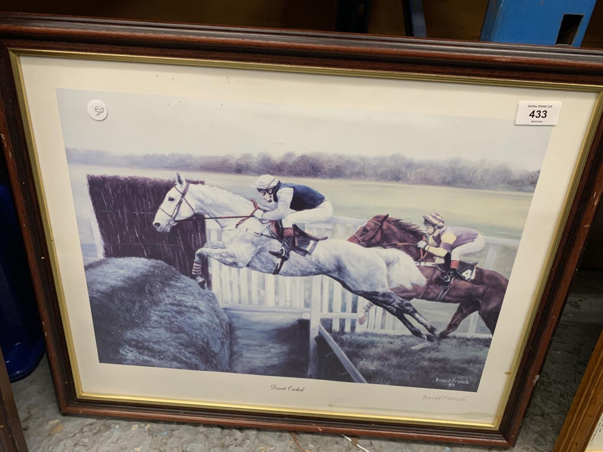 A DESERT ORCHID PRINT, SIGNED IN PENCIL BY ARTIST DAVID FRENCH, 60CM X 50CM