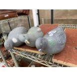 THREE PLASTIC DECOY WOOD PIGEONS