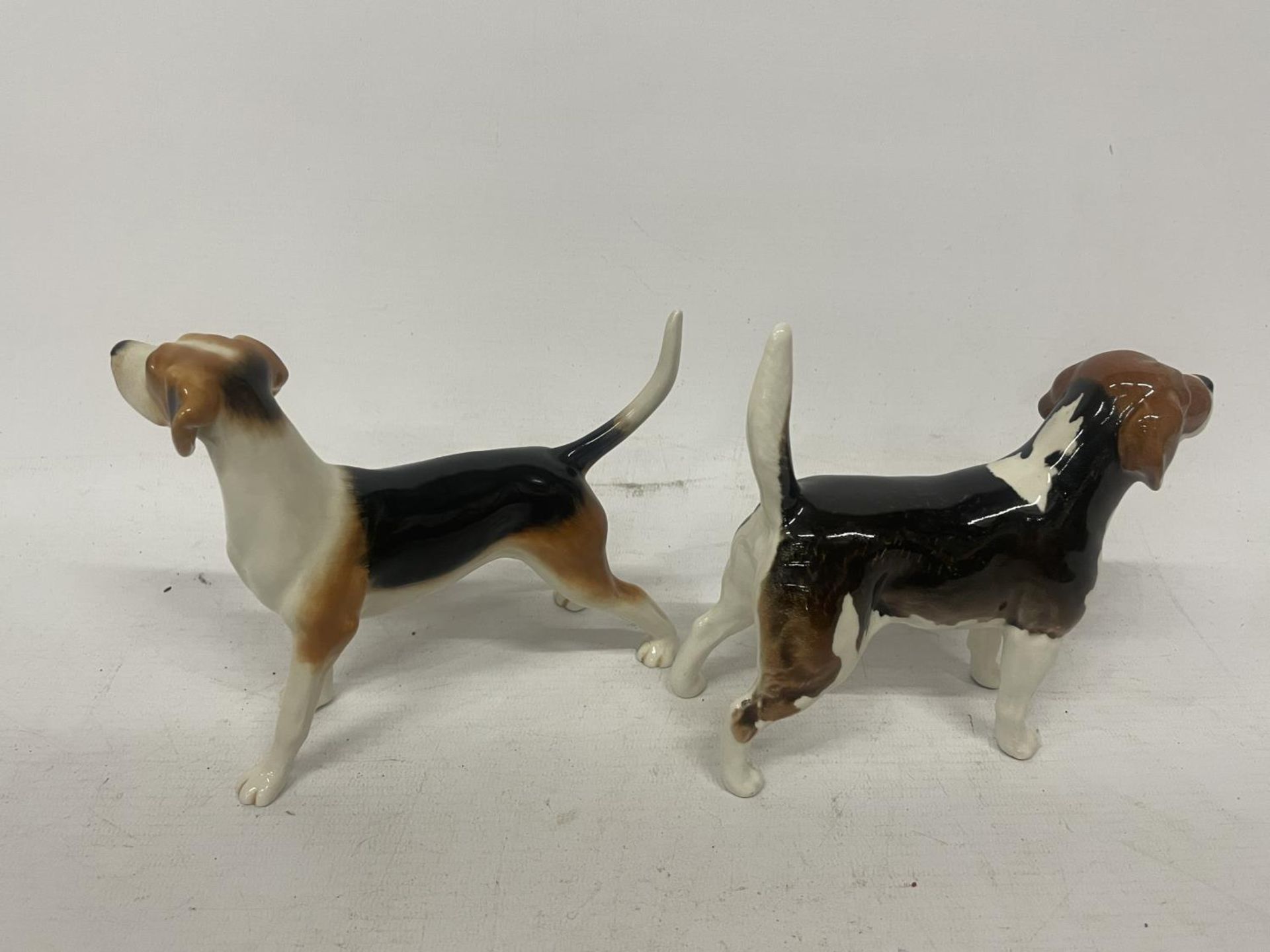 TWO BESWICK HOUNDS TO INCLUDE CH WENDOVER BILLY - Image 2 of 4