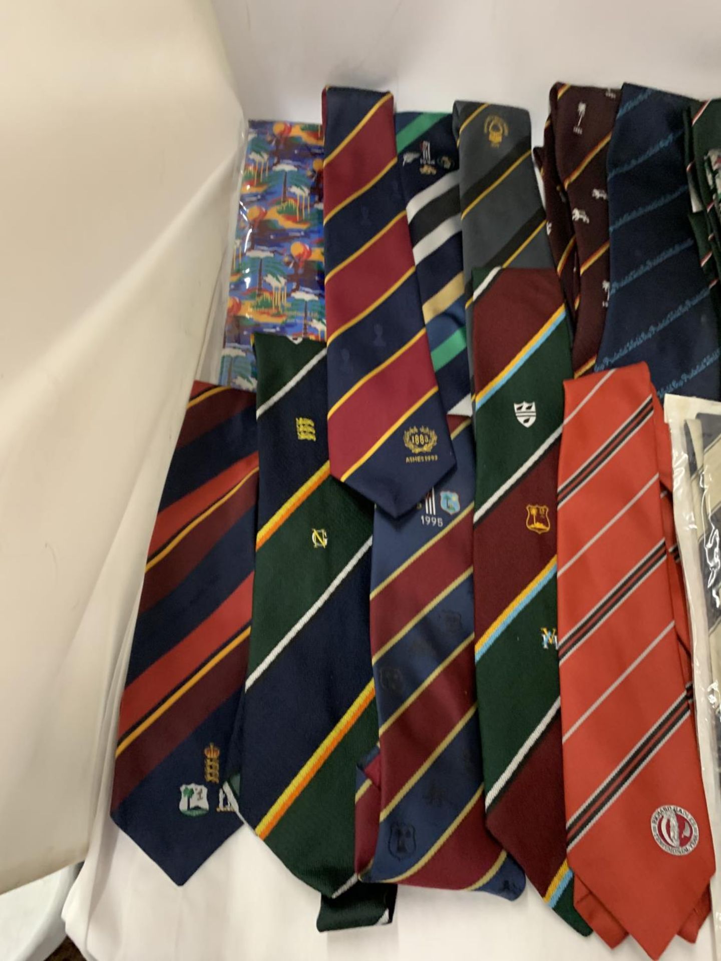 A COLLECTION OF CRICKET INTERNATIONAL AND BENEFIT TIES, MOSTLY VINTAGE - APPROX 20 IN TOTAL - Image 2 of 4