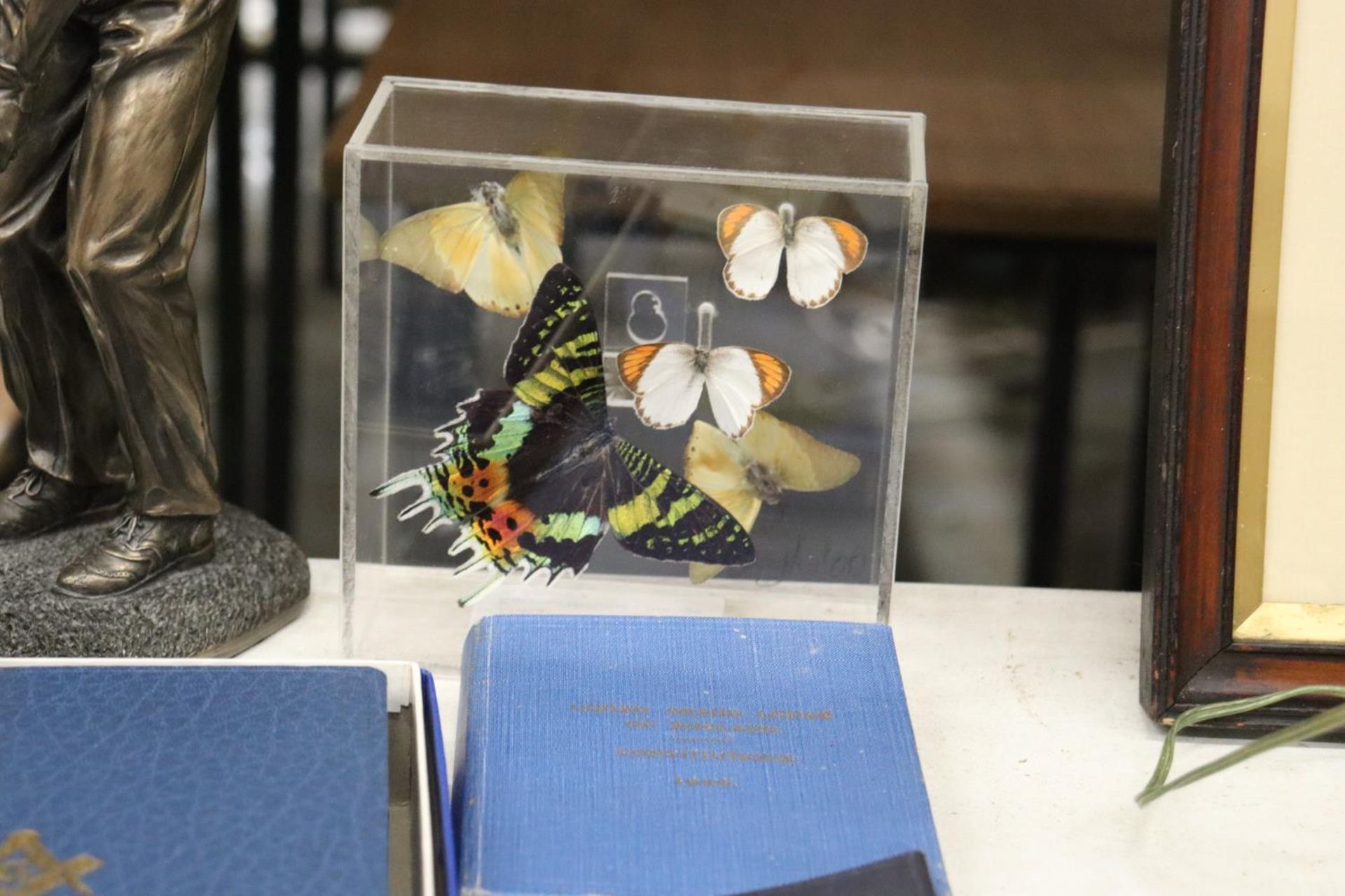 A MIXED LOT TO INCLUDE A FIGURE OF A GOLFER, TAXIDERMY BUTTERFLIES IN A CLEAR CASE, MASONIC BOOKS, - Bild 3 aus 6