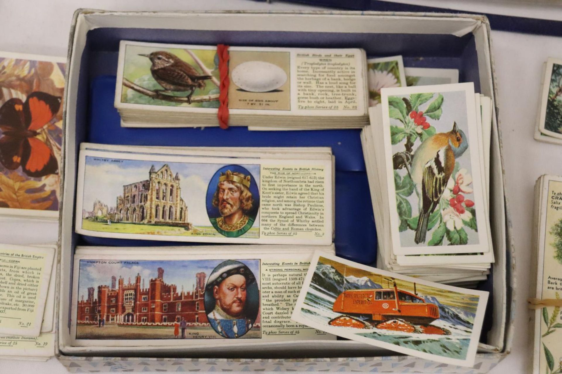 AN ALBUM OF VINTAGE POSTCARDS AND A QUANTITY OF CIGARETTE CARDS - Image 7 of 9