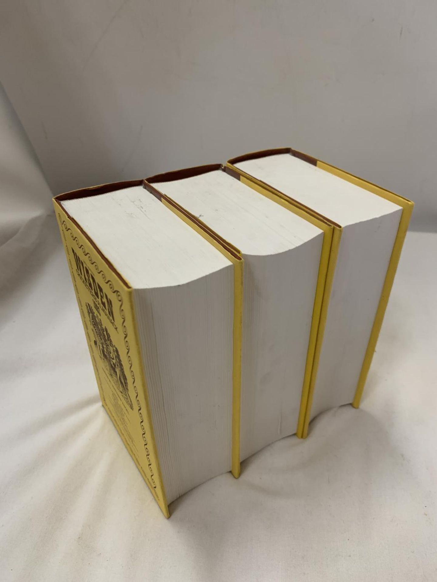 THREE HARDBACK COPIES OF WISDEN'S CRICKETER'S ALMANACKS, 1992, 1993 AND 1994. THESE COPIES ARE IN - Image 5 of 5