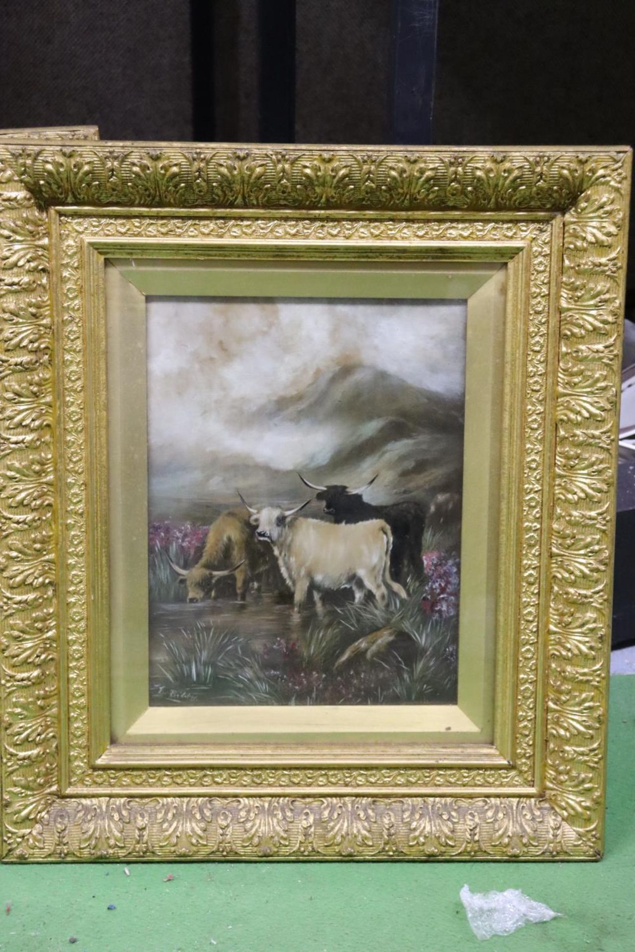 TWO OIL ON BOARD PAINTINGS OF HIGHLAND CATTLE IN GILT FRAMES, 44CM X 51CM - Image 2 of 5