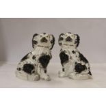 A PAIR OF BLACK AND WHITE STAFFORDSHIRE SPNIELS, HEIGHT 18CM