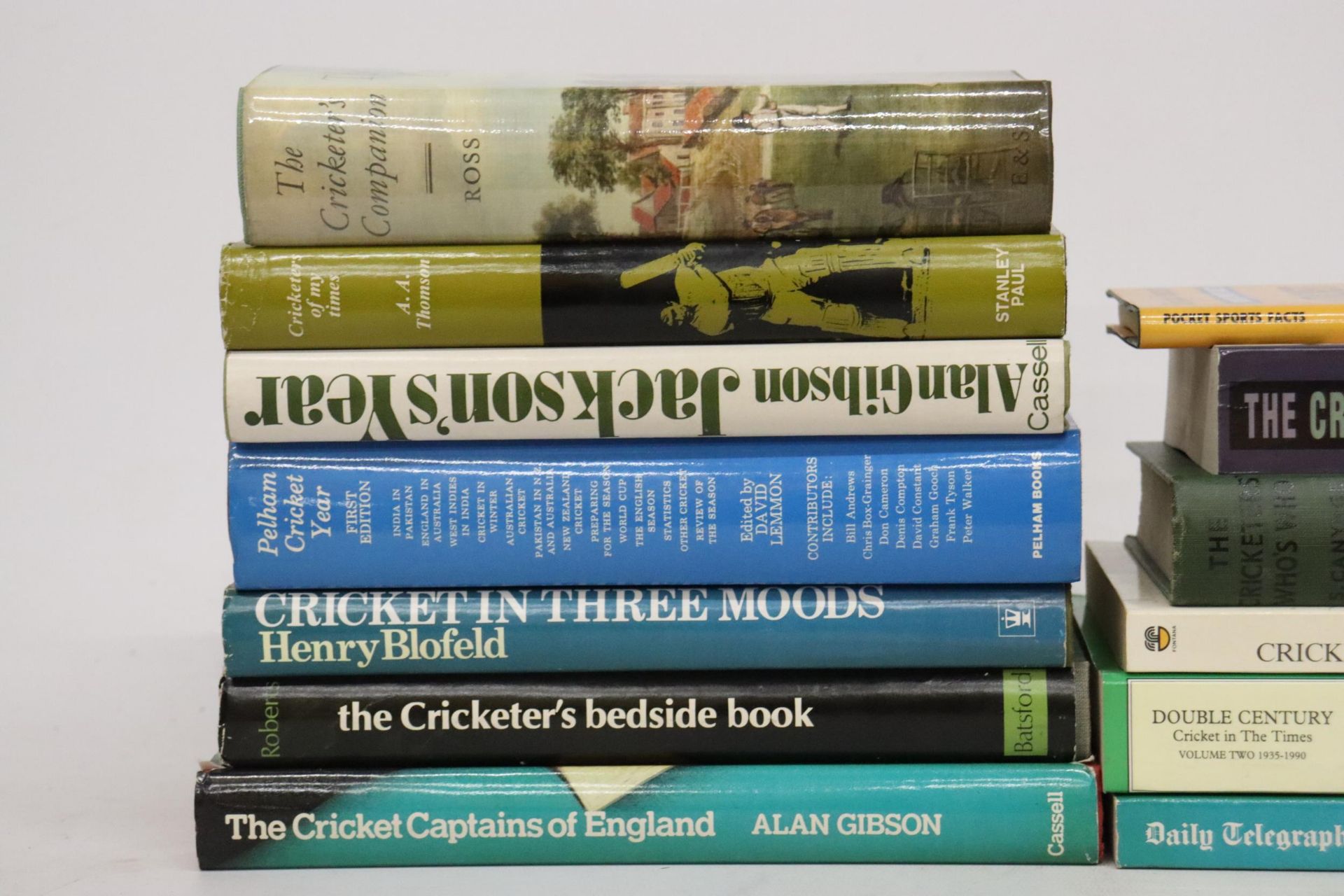 A QUANTITY OF CRICKET YEAR BOOKS, ETC, TO INCLUDE PELHAM CRICKET YEAR, CRICKET IN THE TIMES, DAILY - Image 7 of 8