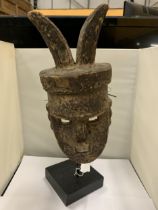 A LATE 19TH CENTURY EARLY 20TH CENTURY MALI DOGON MASK ON A MUSEUM STYLE STAND