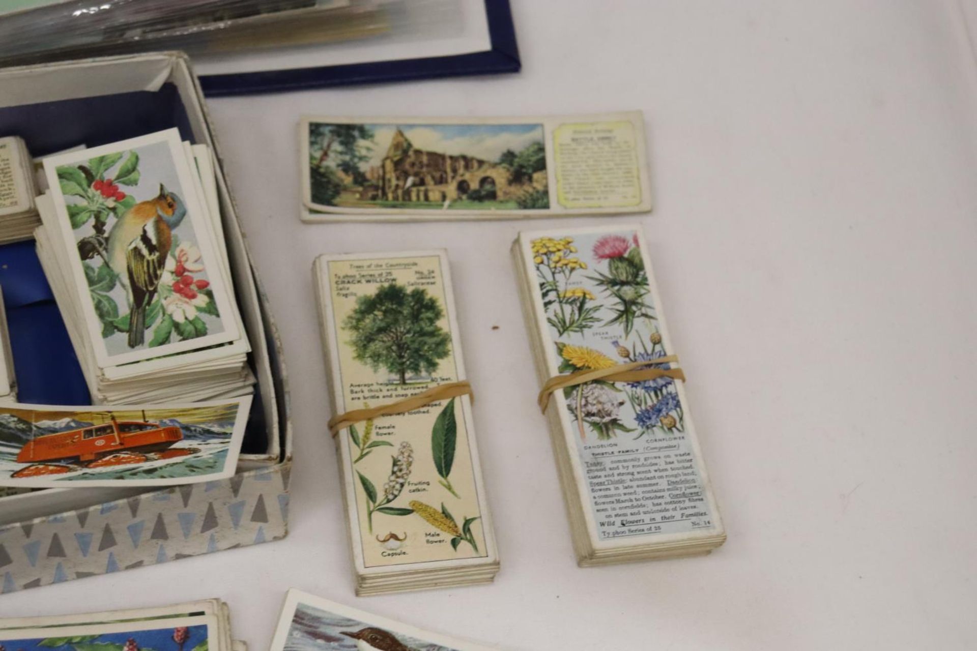 AN ALBUM OF VINTAGE POSTCARDS AND A QUANTITY OF CIGARETTE CARDS - Image 4 of 9