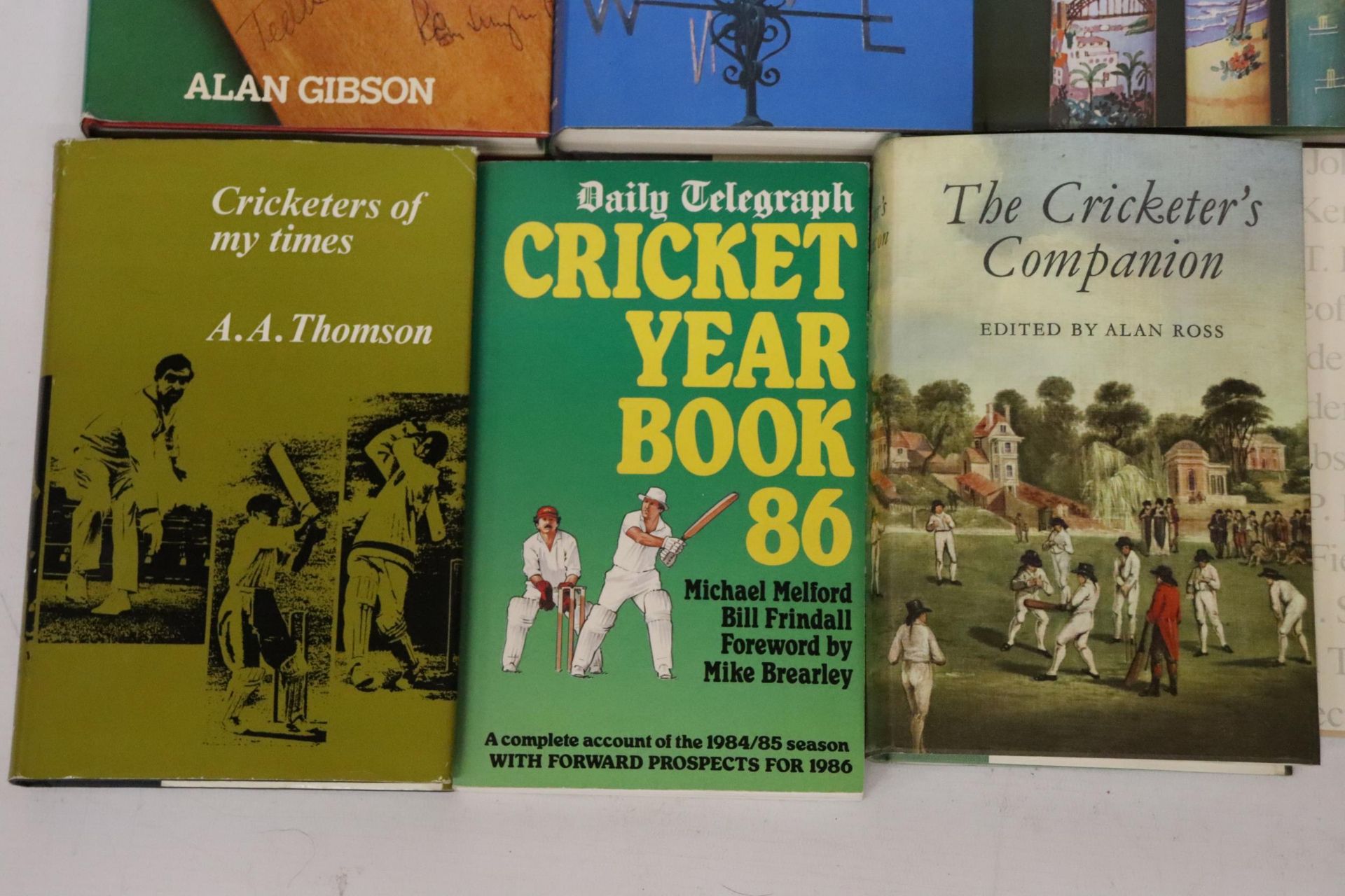 A QUANTITY OF CRICKET YEAR BOOKS, ETC, TO INCLUDE PELHAM CRICKET YEAR, CRICKET IN THE TIMES, DAILY - Image 5 of 8