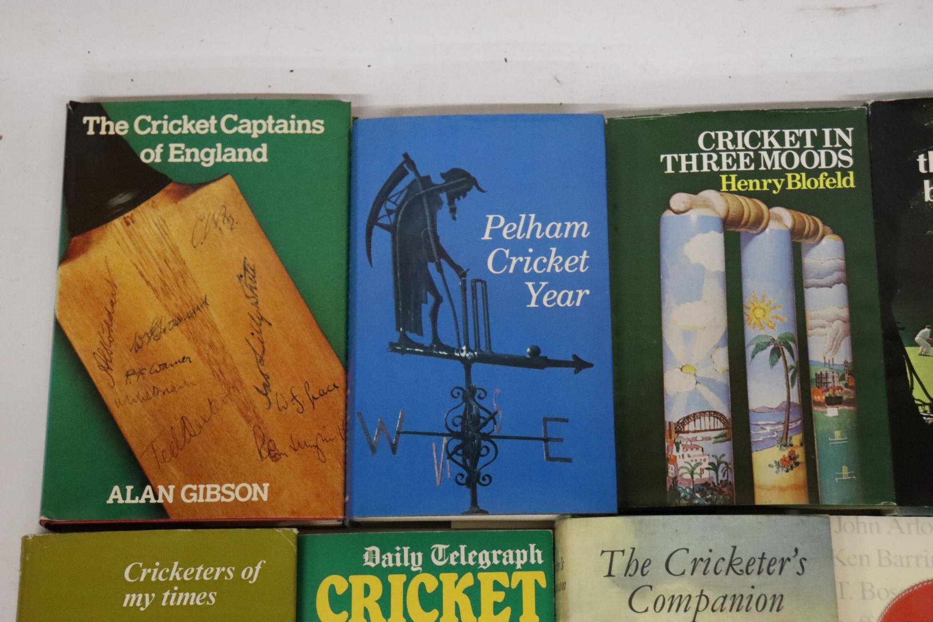 A QUANTITY OF CRICKET YEAR BOOKS, ETC, TO INCLUDE PELHAM CRICKET YEAR, CRICKET IN THE TIMES, DAILY - Image 2 of 8