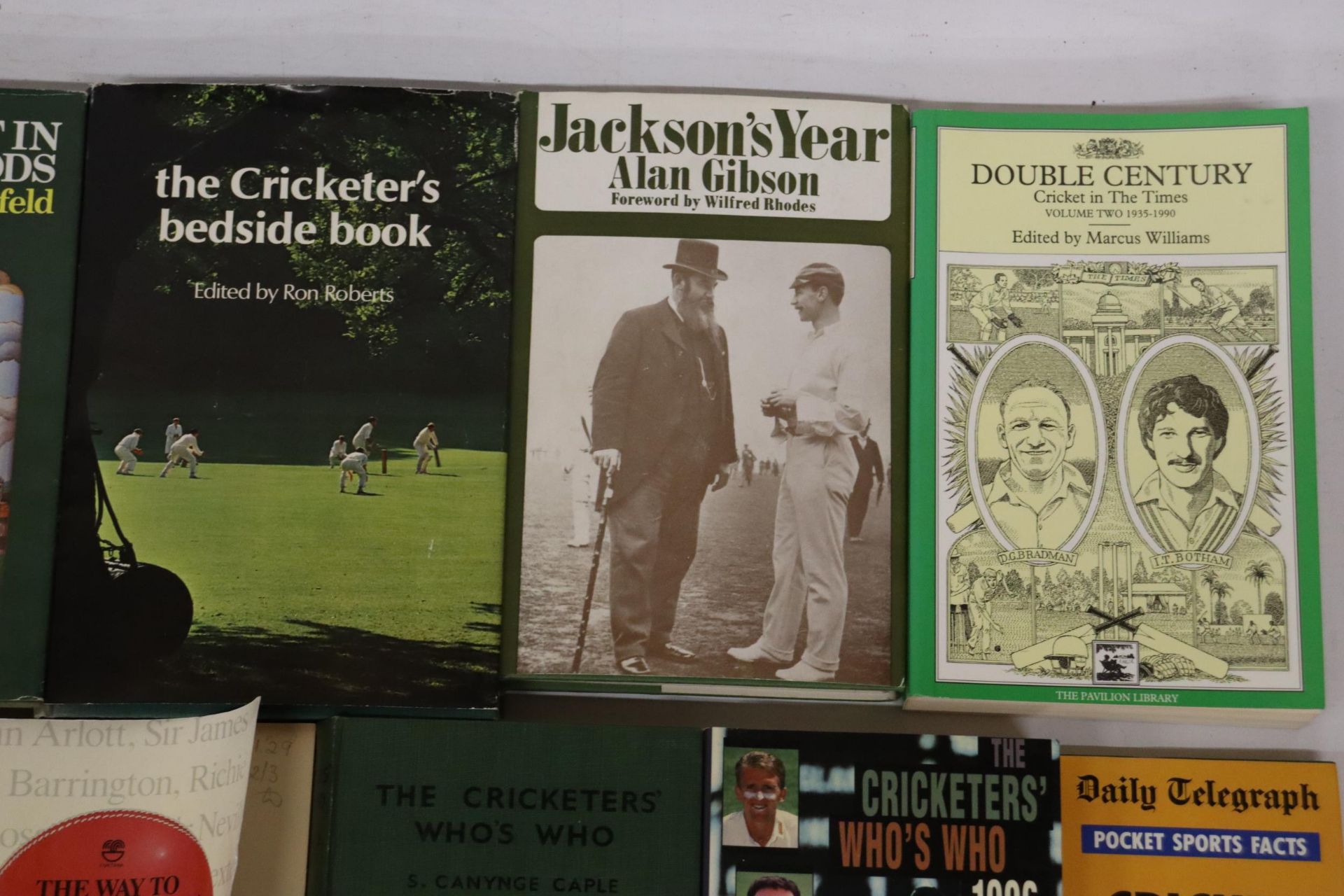 A QUANTITY OF CRICKET YEAR BOOKS, ETC, TO INCLUDE PELHAM CRICKET YEAR, CRICKET IN THE TIMES, DAILY - Image 3 of 8