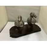 A VINTAGE PAIR OF WHITE METAL DUCKS ON A WOODEN PLINTH