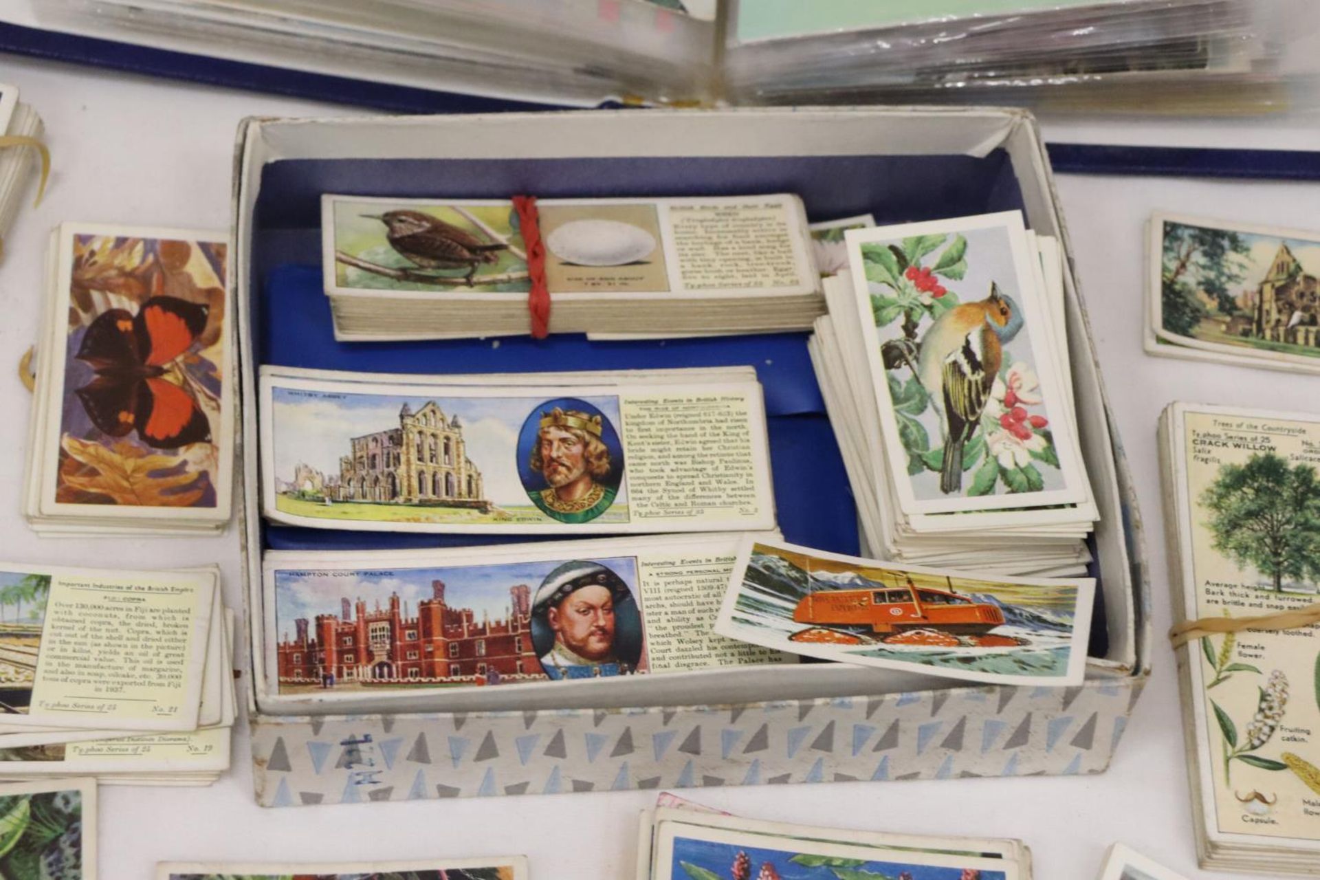 AN ALBUM OF VINTAGE POSTCARDS AND A QUANTITY OF CIGARETTE CARDS - Image 3 of 9