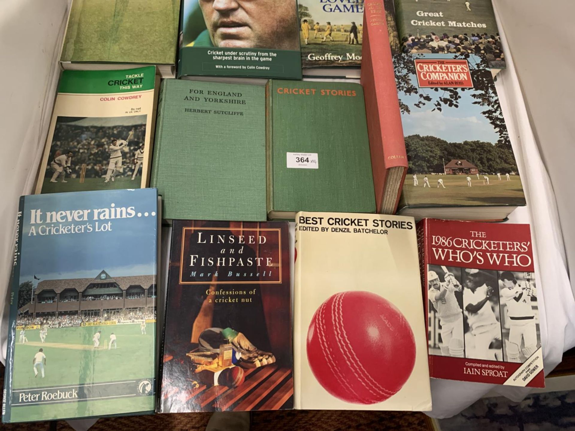 A QUANTITY OF CRICKET BOOKS TO INCLUDE WOOLMER ON CRICKET, THE CRICKETER'S WHO'S WHO, GREAT - Image 4 of 5