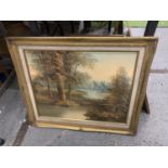 A GILT FRAMED OIL ON CANVAS OF A WOOD AND RIVER SCENE, 62CM X 52CM